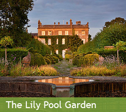 The Lily Pool Garden